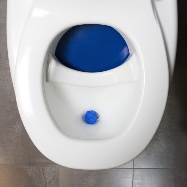Trenntoilette Separett Villa Blick auf den Trenneinsatz & Sichtschutzklappe