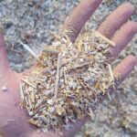 Trockentoilette Streu - bee dust Detail